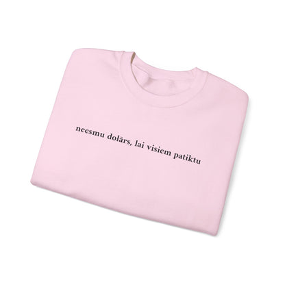 Džemperis - "neesmu dolārs, lai visiem patiktu"